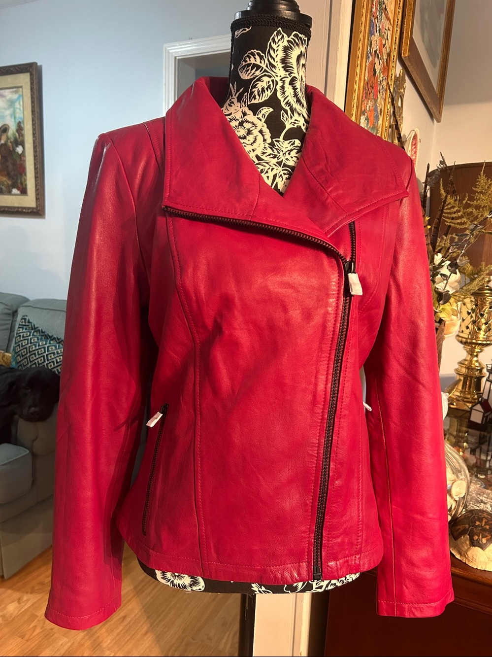 Leather Collared Moto Jacket in Blossom Size Medium